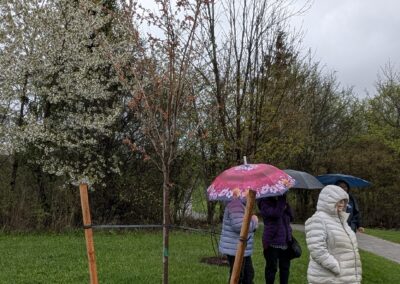 Tree Planting Ceremony 2025