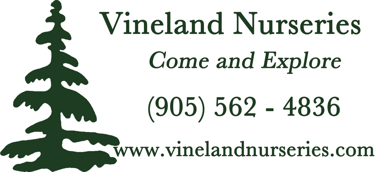 Vineland Nurseries Vineland Nurseries